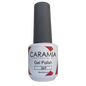 Caramia gel 15 ml color 069
