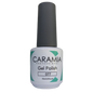 Caramia gel 15 ml color 077