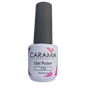 Caramia gel 15 ml color 113