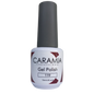 Caramia gel 15 ml color 119