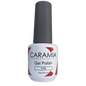 Caramia gel 15 ml color 174