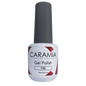 Caramia gel 15 ml color 196