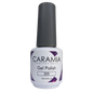 Caramia gel 15 ml color 205