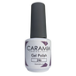 Caramia gel 15 ml color 246
