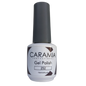 Caramia gel 15 ml color 252